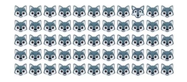 အာရုံစူးစိုက်မှုစမ်းသပ်မှု