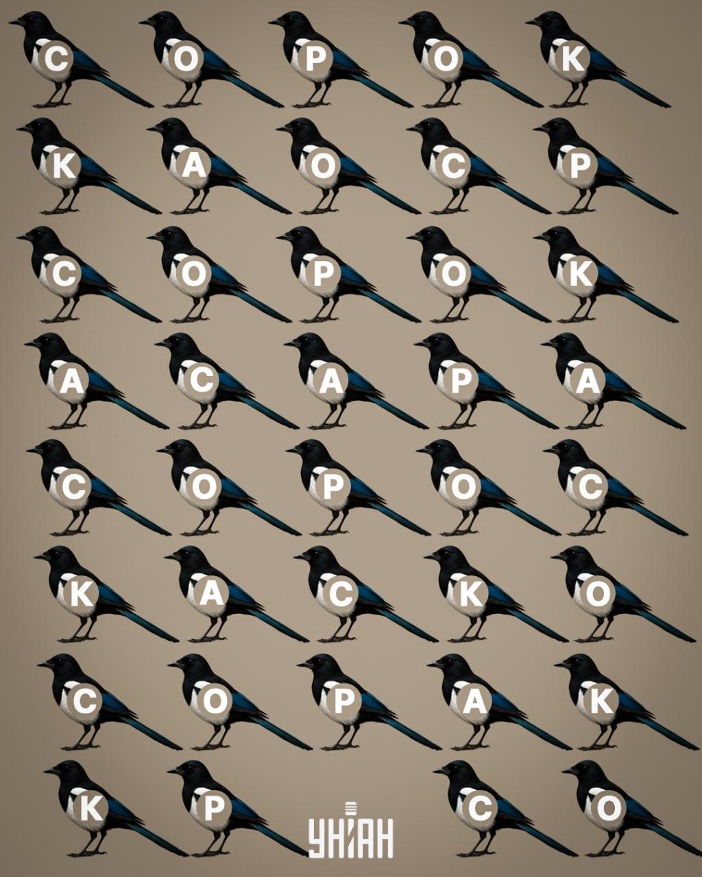 Unian Collage Collage