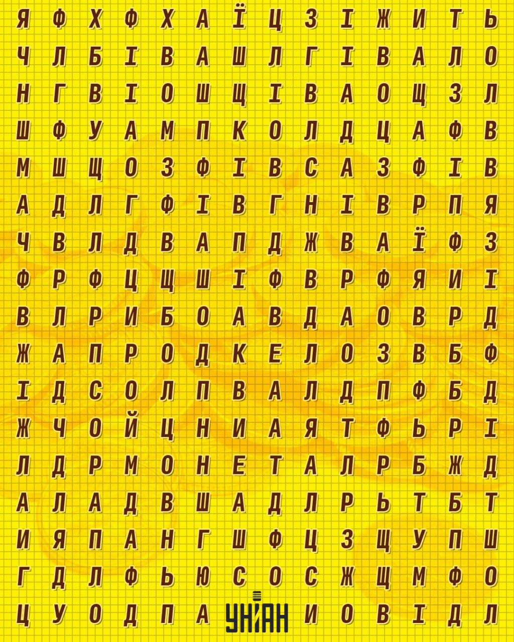 Unian Collage Collage