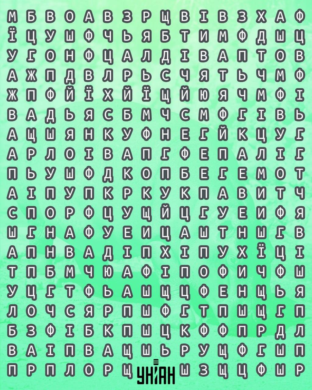 Unian Collage Collage