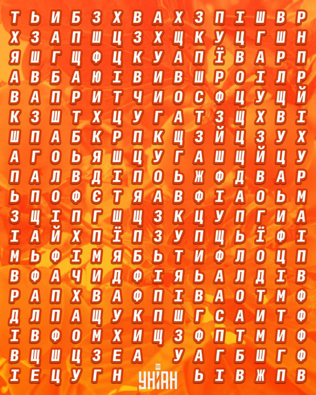 Unian Collage Collage