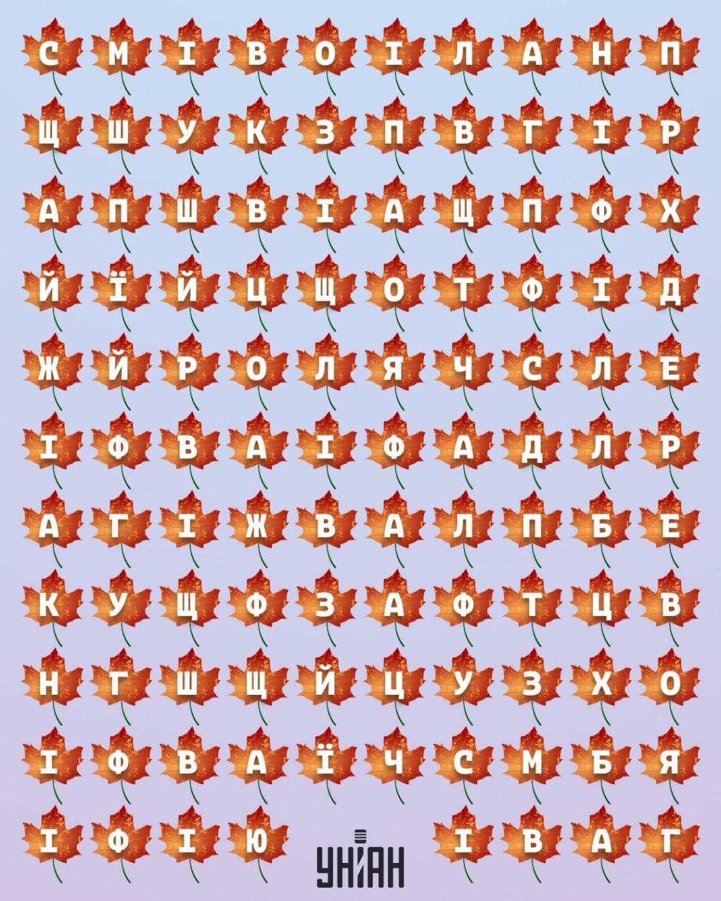 Unian Collage Collage