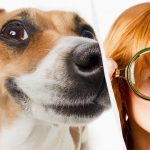 10 စက္ကန့်အတွင်းရှိအချို့သော IQ Titan သာလျှင်ခွေးတစ်ကောင်ကို 10 စက္ကန့်အတွင်းခွေးတစ်ကောင်ကိုတွေ့လိမ့်မည်။ ရင်သပ်ရှုမောဖွယ်ကောင်းသောထင်ယောင်ထင်မှား 10 စက္ကန့်အတွင်းရှိအချို့သော IQ Titan သာလျှင်ခွေးတစ်ကောင်ကို 10 စက္ကန့်အတွင်းခွေးတစ်ကောင်ကိုတွေ့လိမ့်မည်။ ရင်သပ်ရှုမောဖွယ်ကောင်းသောထင်ယောင်ထင်မှား