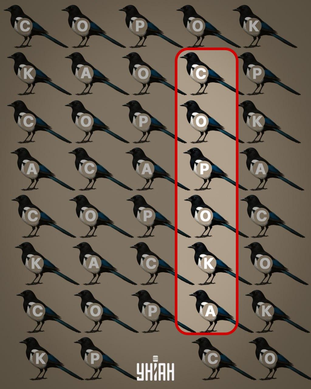 Unian Collage Collage