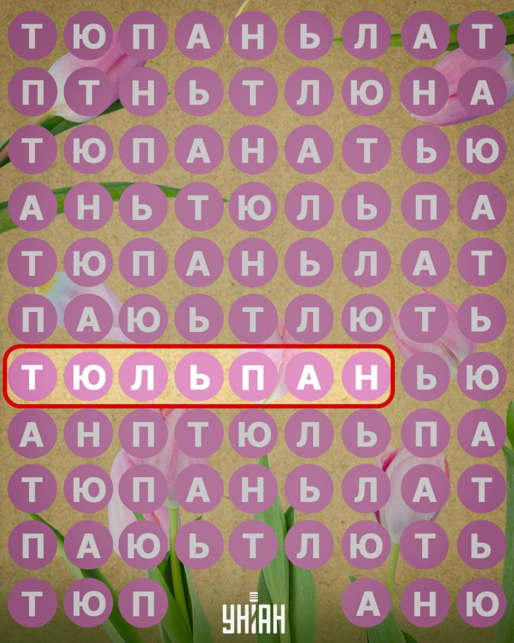 / Collage Unian ကို