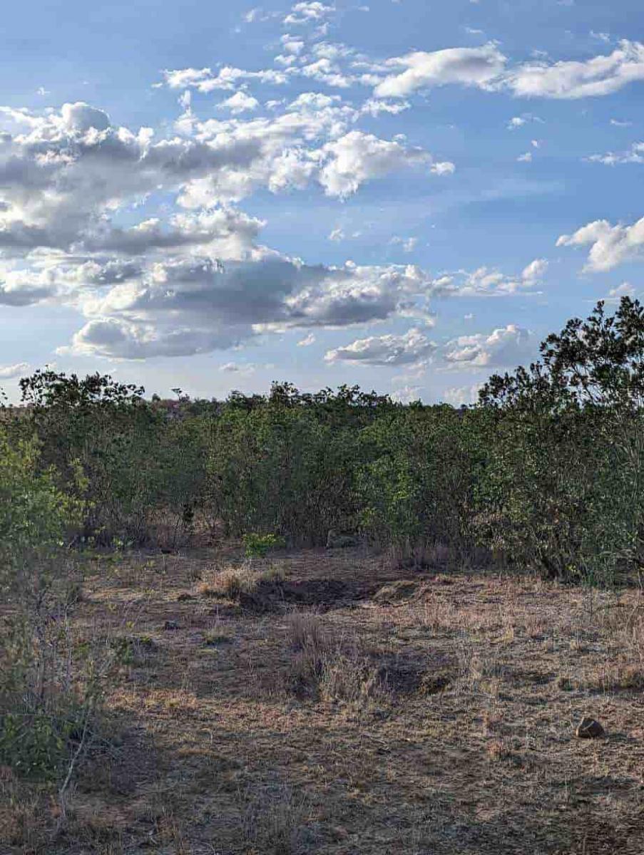 နက်နဲသောအရာဖြစ်ပေ