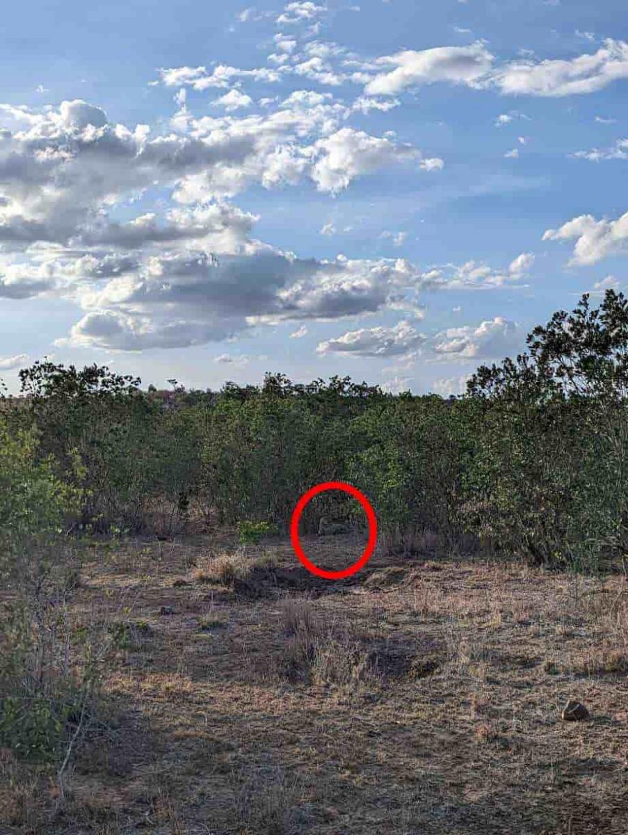 နက်နဲသောအရာဖြစ်ပေ