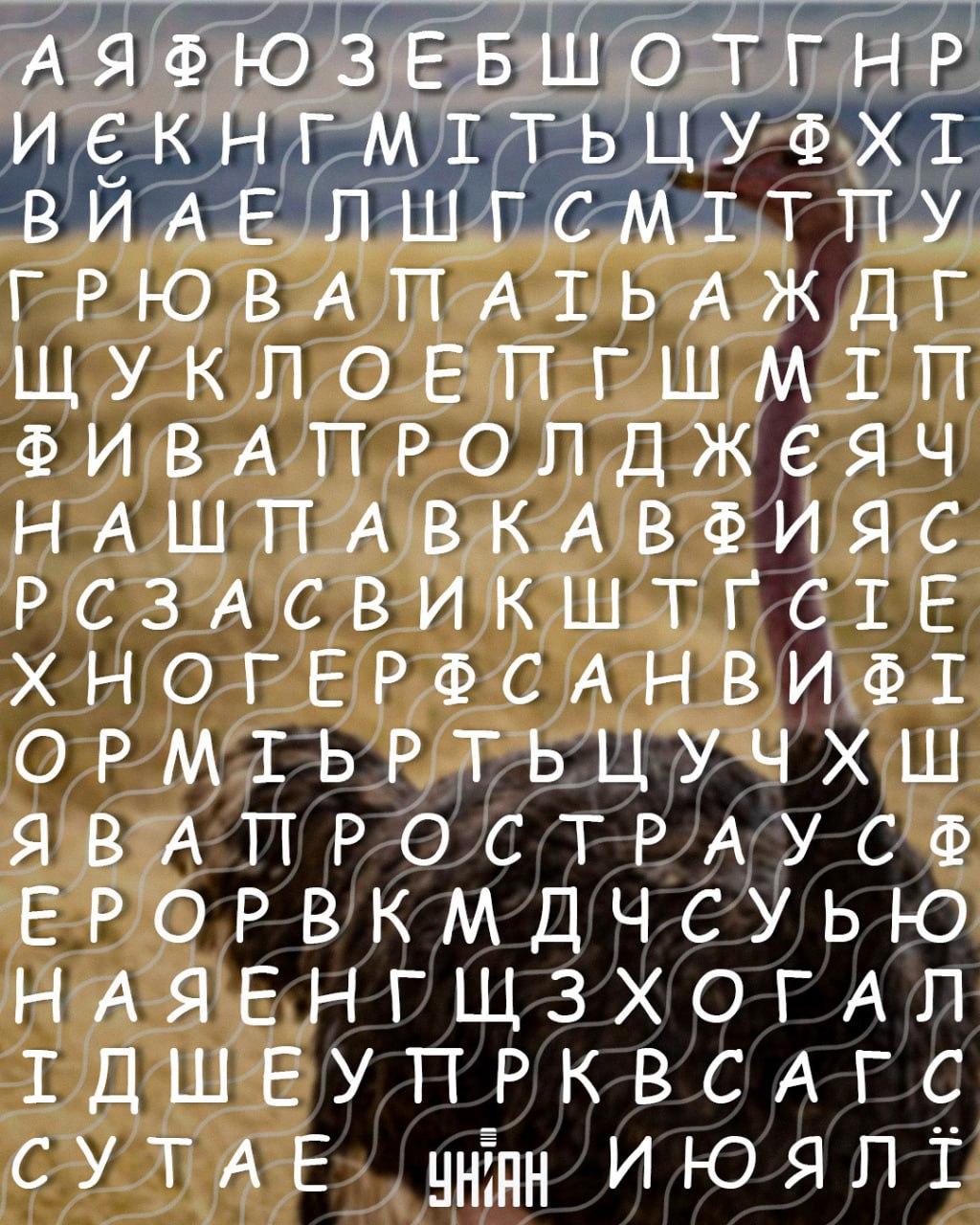 မြင့်မားသော IQ နှင့်အတူလူသာသာ 10 စက္ကန့်အတွင်း 'ငှက်ကုလားအုတ်စကားလုံး 