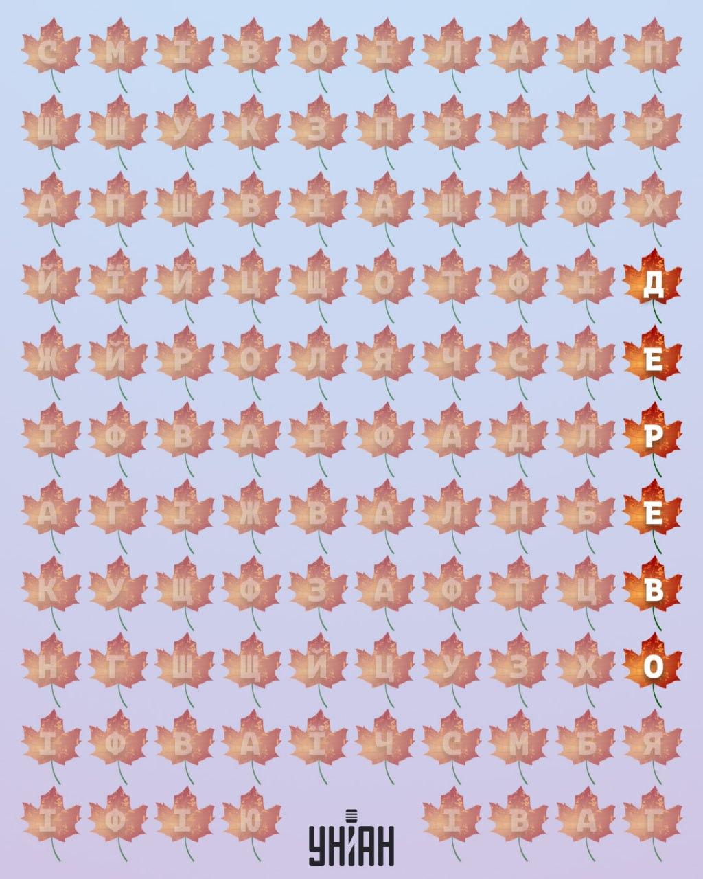 Unian Collage Collage