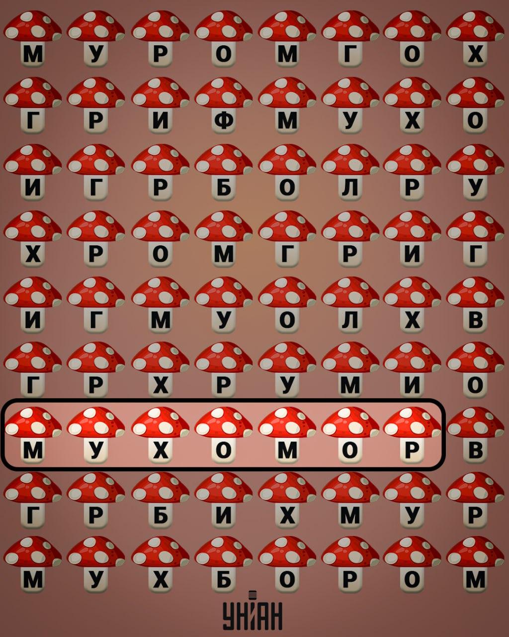 Unian Collage Collage