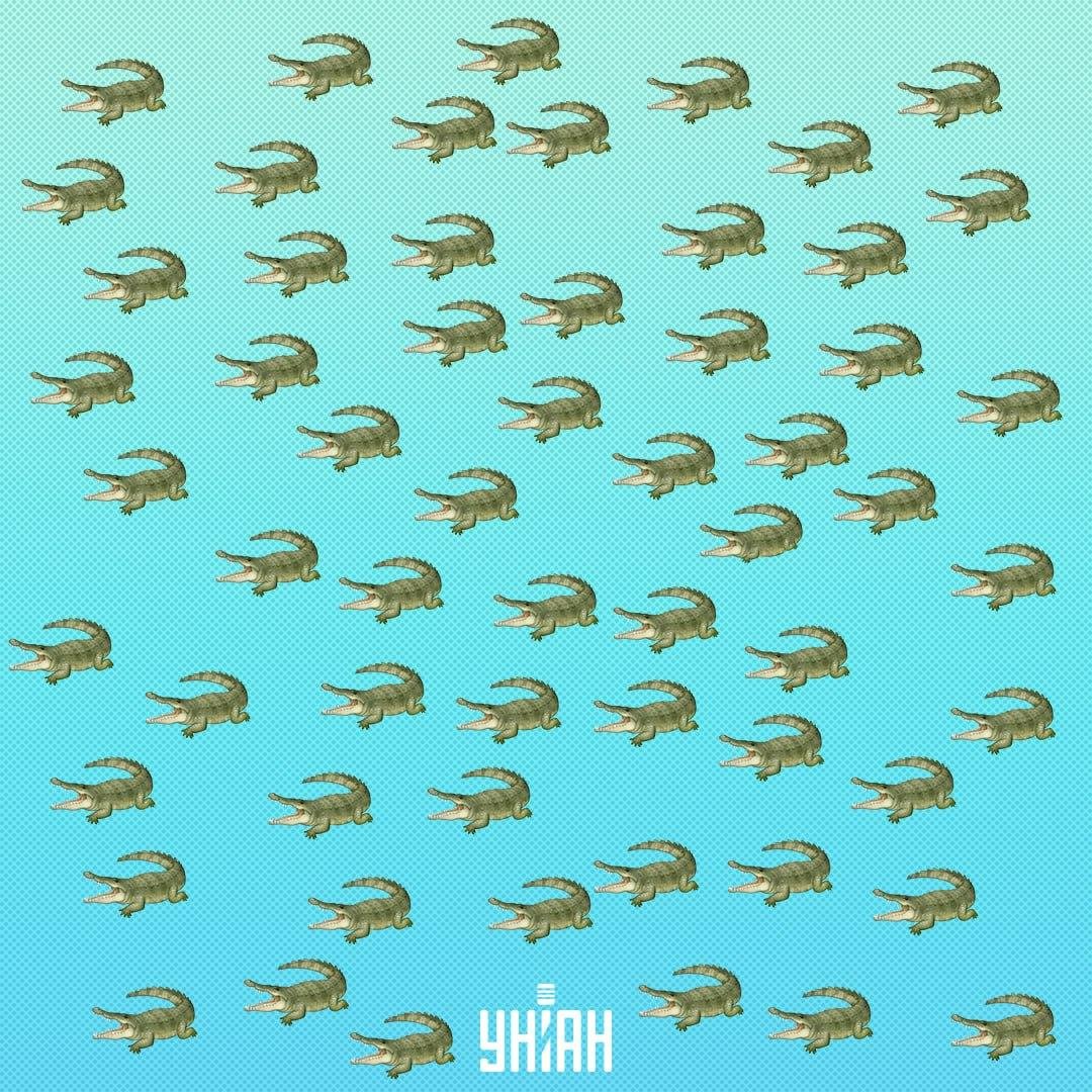 တွားသွားသတ္တဝါဝှက်ထားပေမယ့် 15 စက္ကန့်အတွင်းမှာတွေ့ရမယ်,