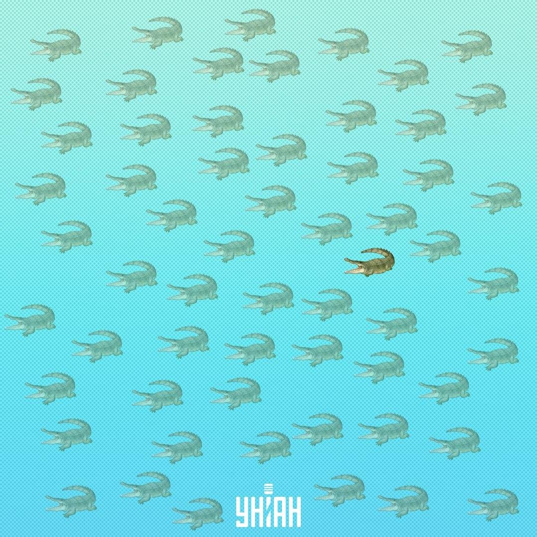 ၎င်းသည်ညာဘက်ခြမ်းတွင်ဗဟို / Collage ကို Collage Unian တွင်ပိုမိုနီးကပ်စွာရှာဖွေရန်လိုအပ်သည်