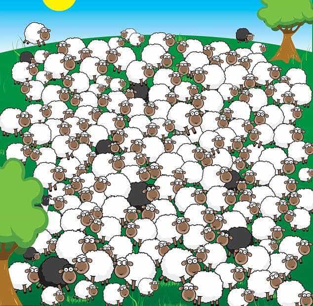 နက်နဲသောအရာဖြစ်ပေ