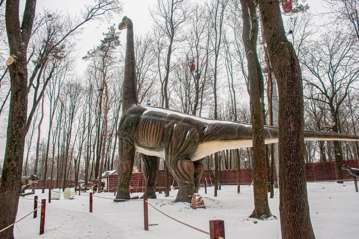 10 စက္ကန့်အတွင်းရှိနှင်းများထဲ၌ခွေးတစ်ကောင်ကိုရှာပါ