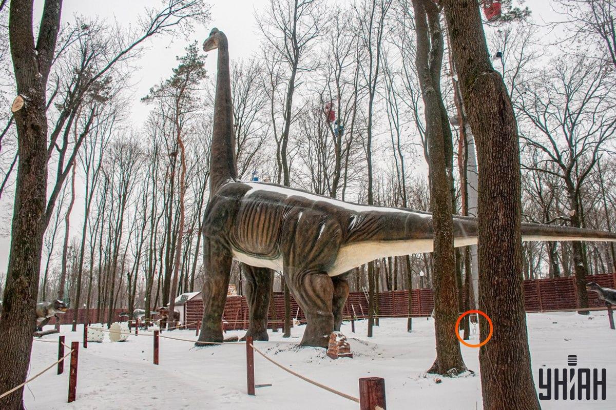 ခွေးသည်ရုပ်ပုံ / Collage Unian ၏ဘယ်ဘက်အောက်ထောင့်အနီးတွင်ရှိသည်