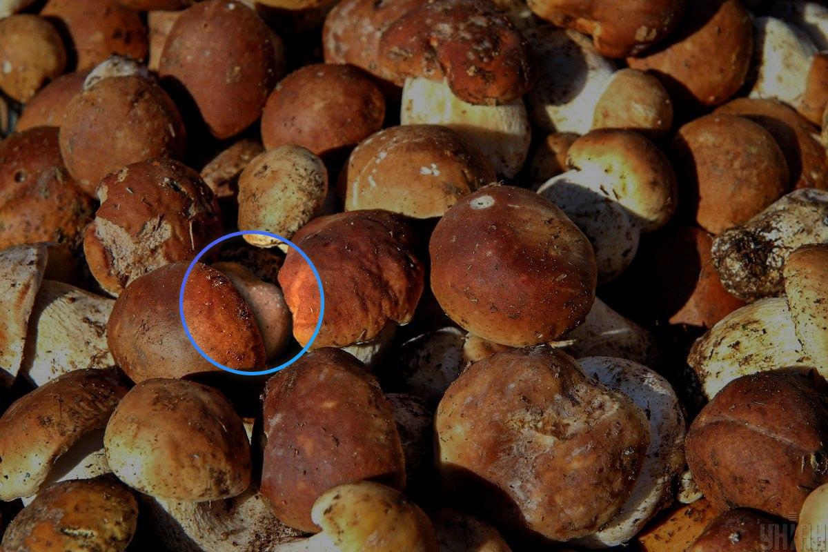 ကျောက်တုံးသည် optical oldusion / Unian Collage ၏ဗဟိုတွင်နီးပါးရှိသည်