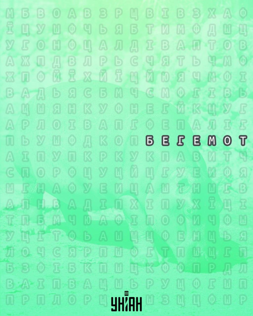 Unian Collage Collage