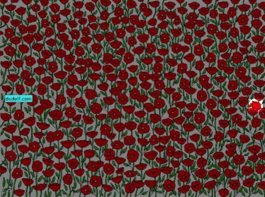 စူပါအာရုံစိုက်မှုသာပုံတွင်ရှိသောကဏန်းကိုတွေ့လိမ့်မည်။ သင်၏ IQ ကို 25 စက္ကန့်အတွင်းစမ်းသပ်ပါ