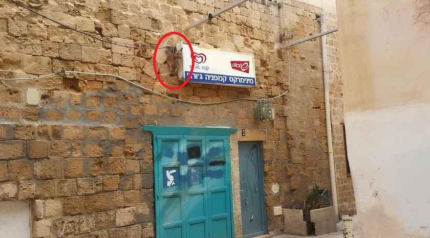 optical ထင်ယောင်ထင်မှား