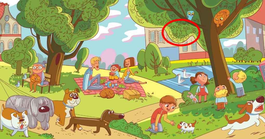 လူအနည်းငယ်သာဤအလုပ်ကိုလုပ်နိုင်သည် - 6 စက္ကန့်အတွင်းပန်းခြံရှိခြင်္သေ့ကိုရှာရန်လိုအပ်သည်