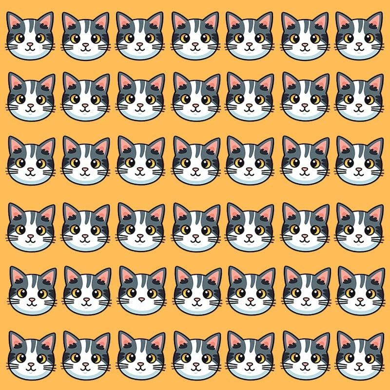 ဒီ optical engusisus သည် IQ / image ကြီးများရှိသောလူများအတွက်သာလျှင်သာဖြစ်သည်