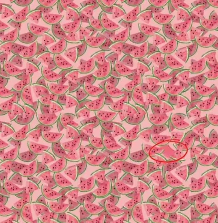 10 စက္ကန့်အတွင်းအထူးဖရဲသီးရှာပါ