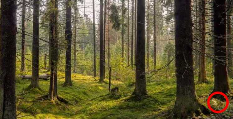 နက်နဲသောအရာဖြစ်ပေ