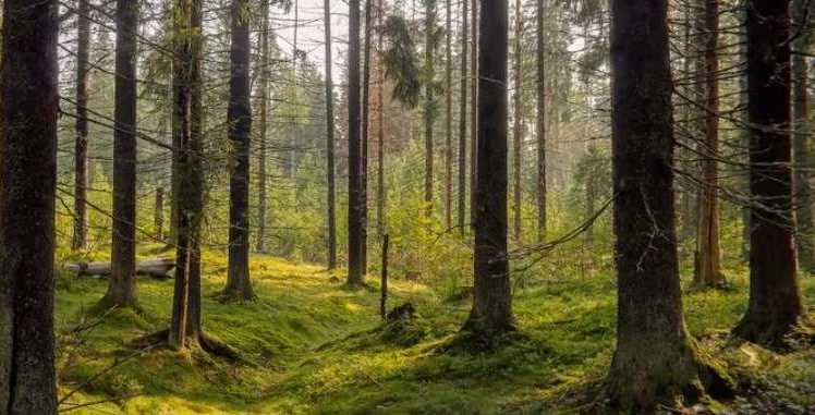 နက်နဲသောအရာဖြစ်ပေ