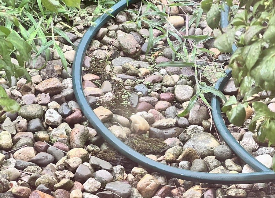 optical olusion: ဝှက်ထားသောဖားကိုရှာပါ