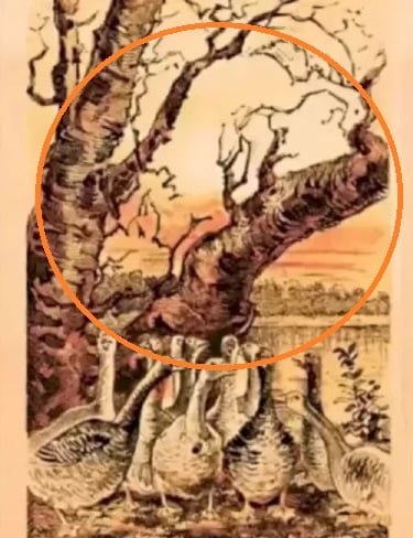 optical ထင်ယောင်ထင်မှား