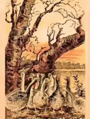 optical ထင်ယောင်ထင်မှား