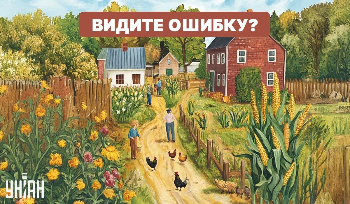 ခက်ခဲသော IQ Test: သင်အမှားကိုလျင်မြန်စွာရှာဖွေရန်လိုအပ်သည်