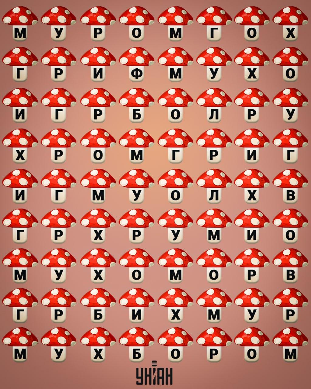 Unian Collage Collage