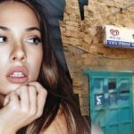 Genius တစ်ခုသာလျှင် 7 စက္ကန့်အတွင်းခွေးတစ်ကောင်ကိုရှာတွေ့လိမ့်မည်။ ရှုပ်ထွေးသော optical olution