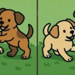 IQ Test: 51 စက္ကန့်အတွင်းခွေးပေါက်စနှစ်ခု၏ရုပ်ပုံများကို 3 ကွဲပြားခြားနားမှု 3 ခုရှာပါ